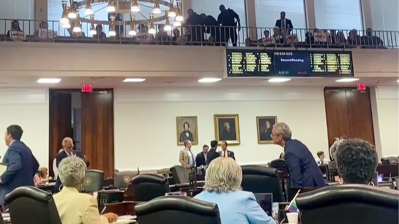 Spectators protest before the NC Senate votes on controversial elections bill