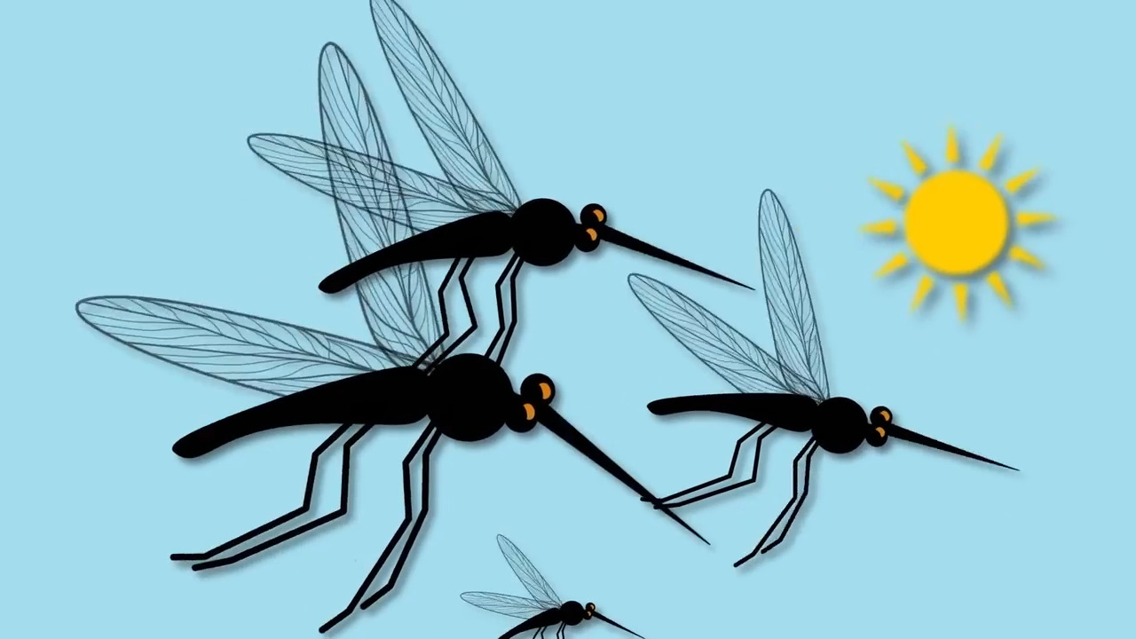 Fight against mosquito bites with these simple tips