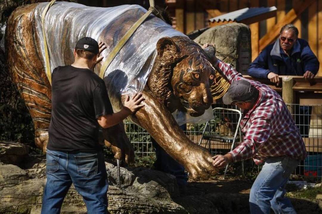 Effort to restore Atascadero zoo’s bronze tiger can be credited to one woman