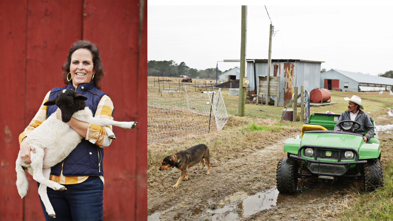 Rainbow Farms reverts to centuries-old techniques to produce high-quality meats