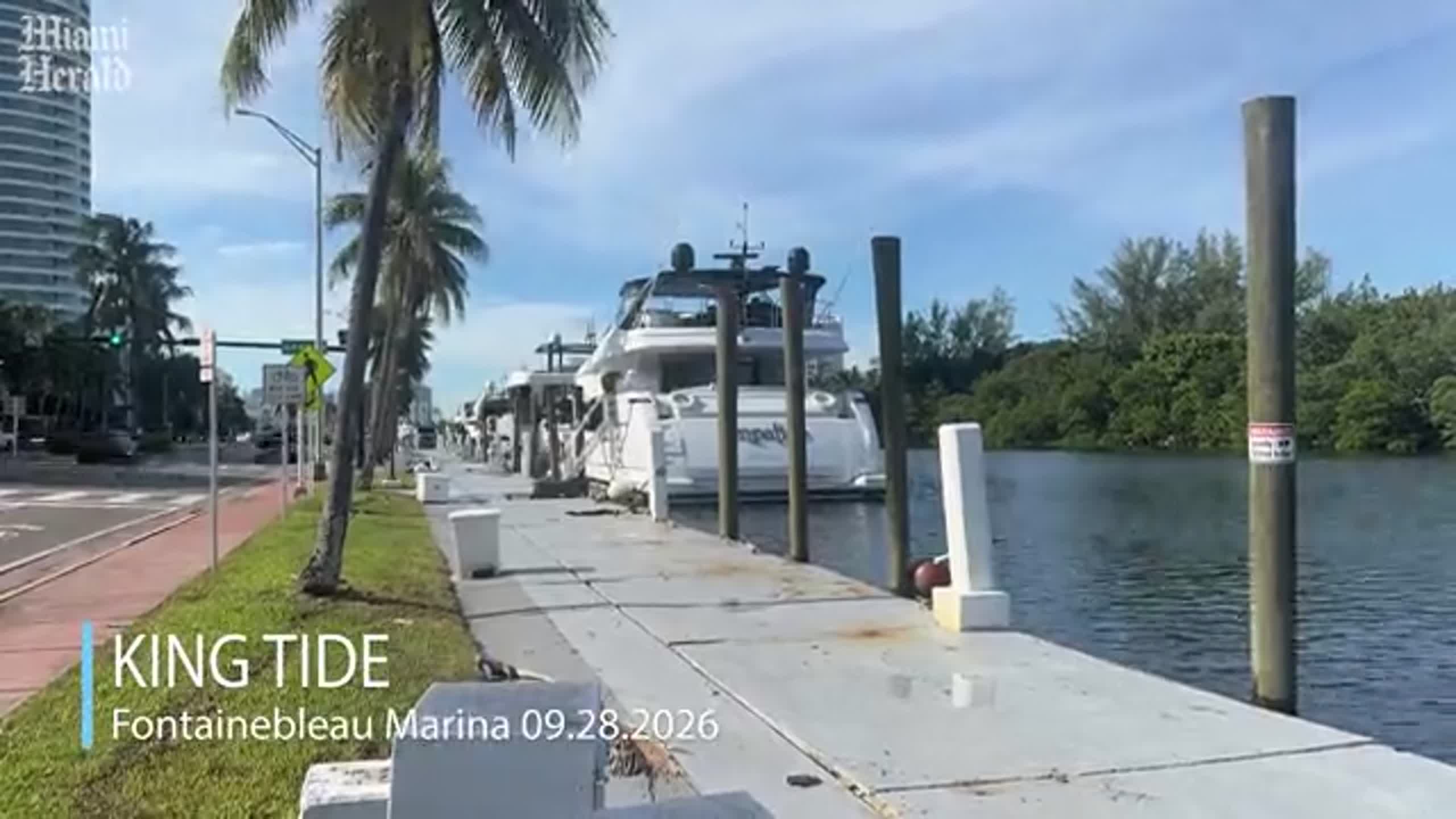 King Tide Returns