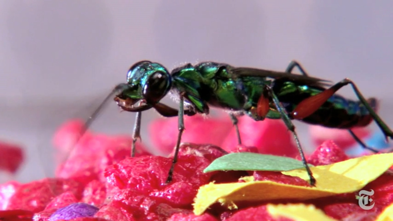 Southerners deal with them more than anyone, and they are so disgusting