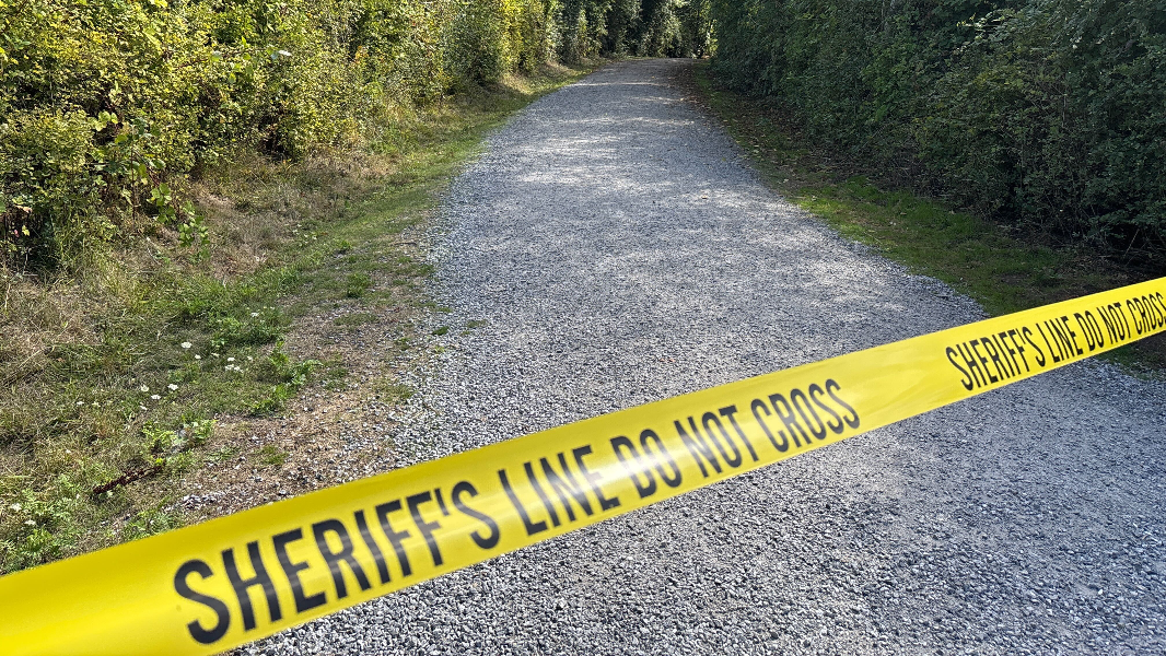 Court records detail reported sexual assault at Bellingham park