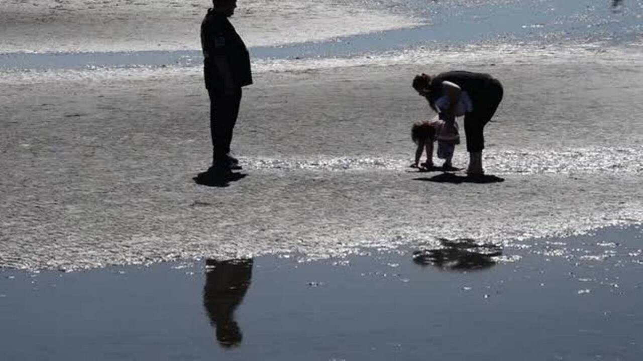 Discover the tide flats at Birch Bay