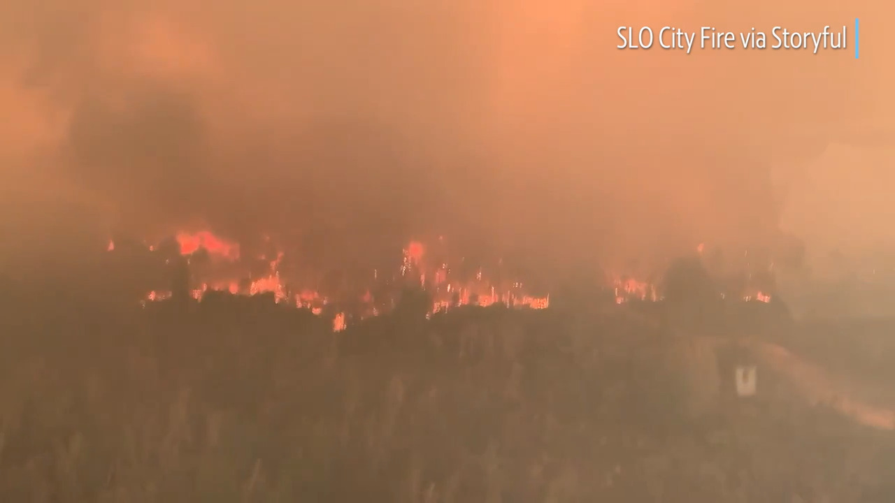 CA wildfire roundup: Information on LNU, CZU, SCU | Sacramento Bee