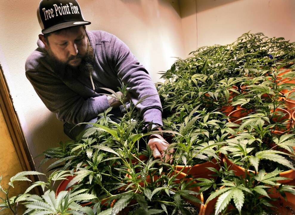 Dispensary seeks to enter recreational pot market, but county says no