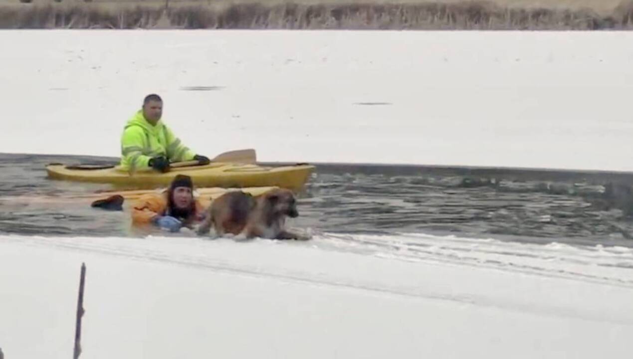 ‘Keep going!’ Firefighters rescue dog that fell through ice