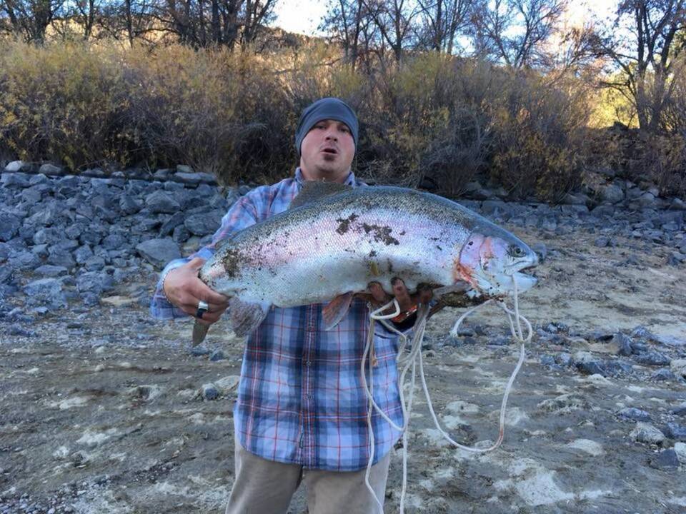 “Whatever it is, it’s a record fish”: Boise man hauls in massive rainbow trout