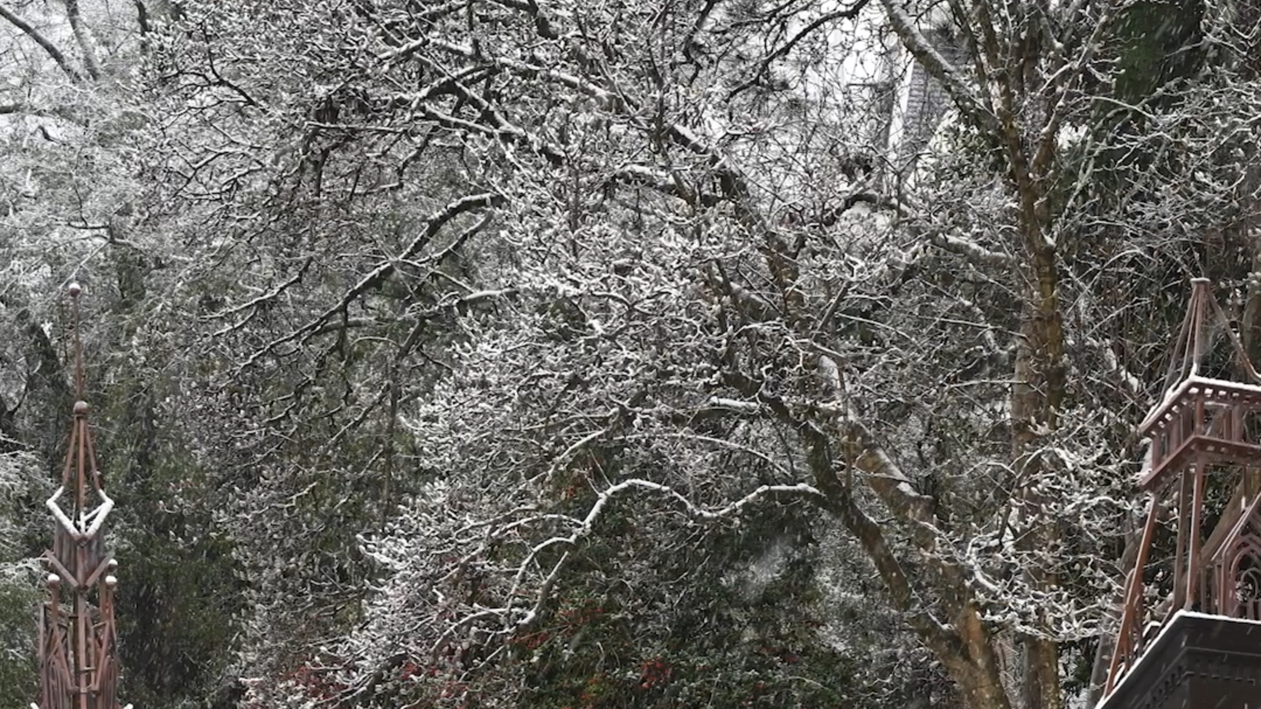 How to prepare for Middle Georgia winter weather conditions