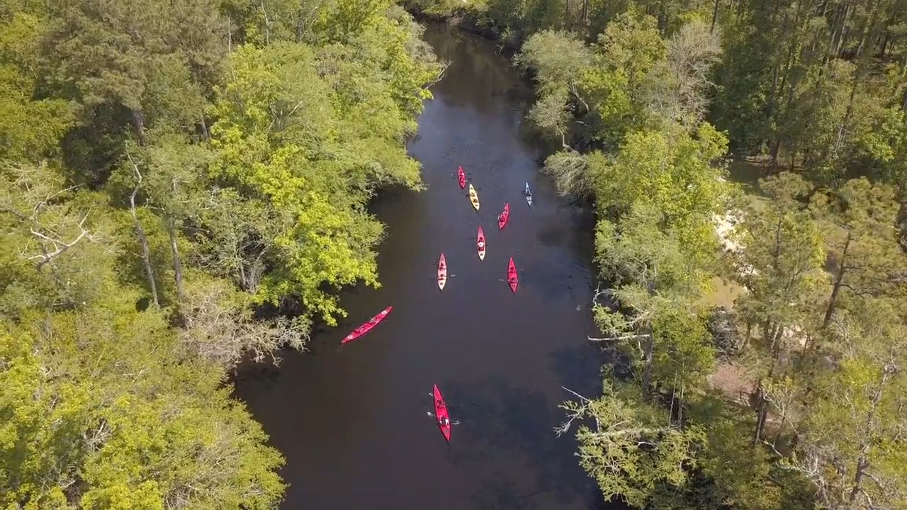 A Vision for South Carolina’s Black River