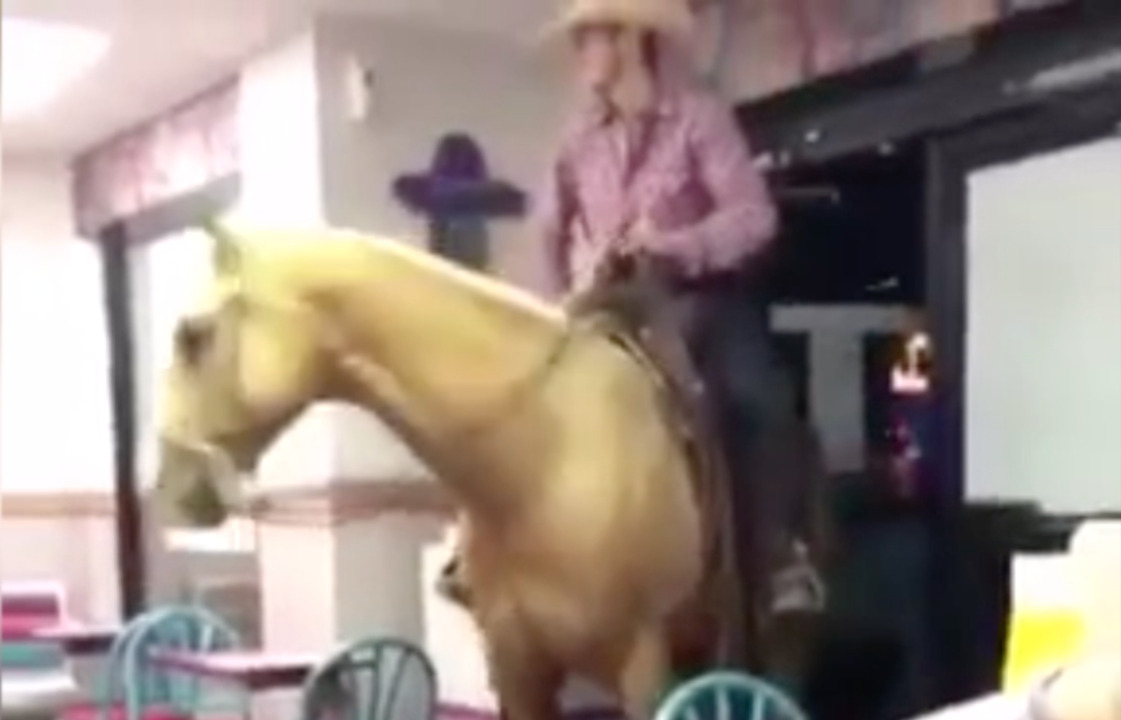 Man rides into Taco Bell on a horse