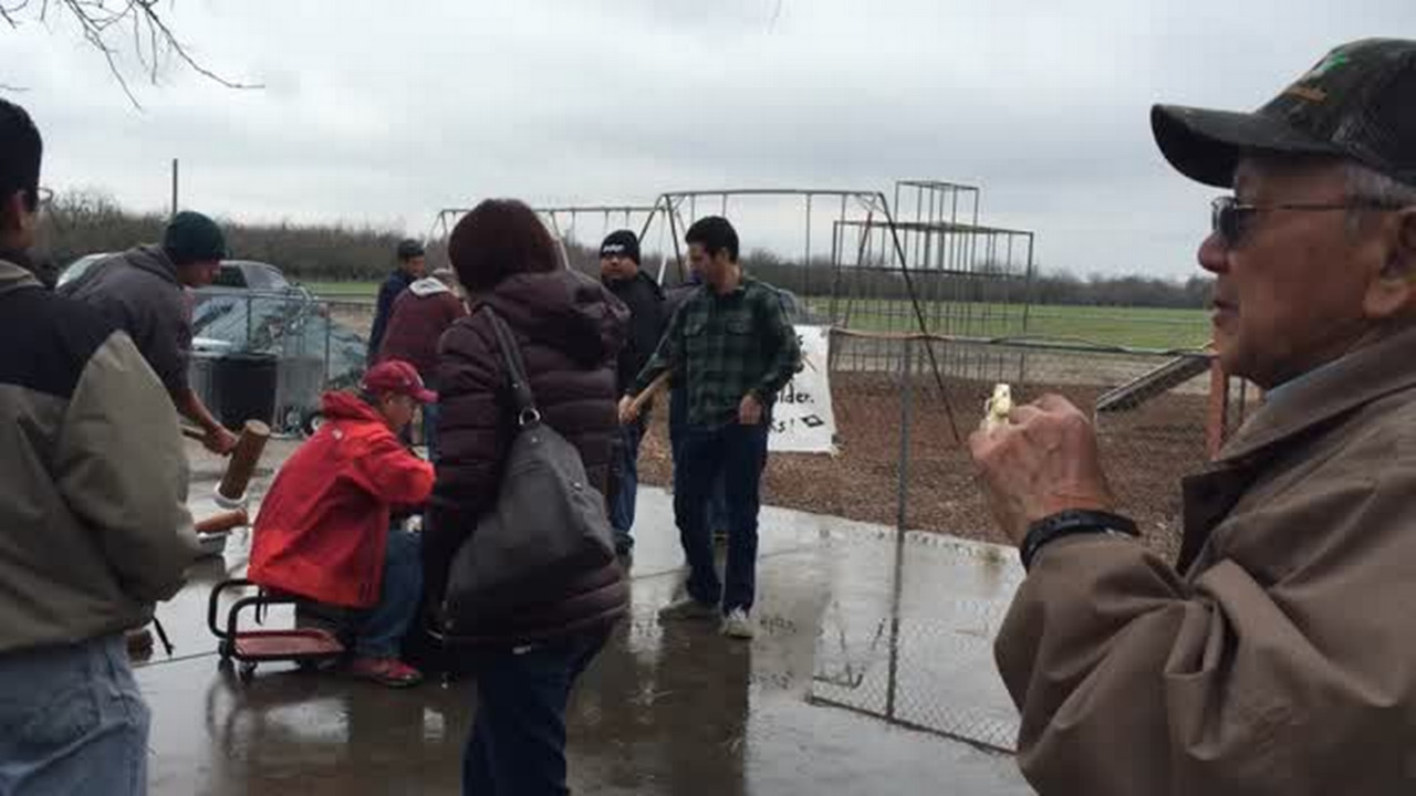 Livingston mochi event brings together old friends, generations of family