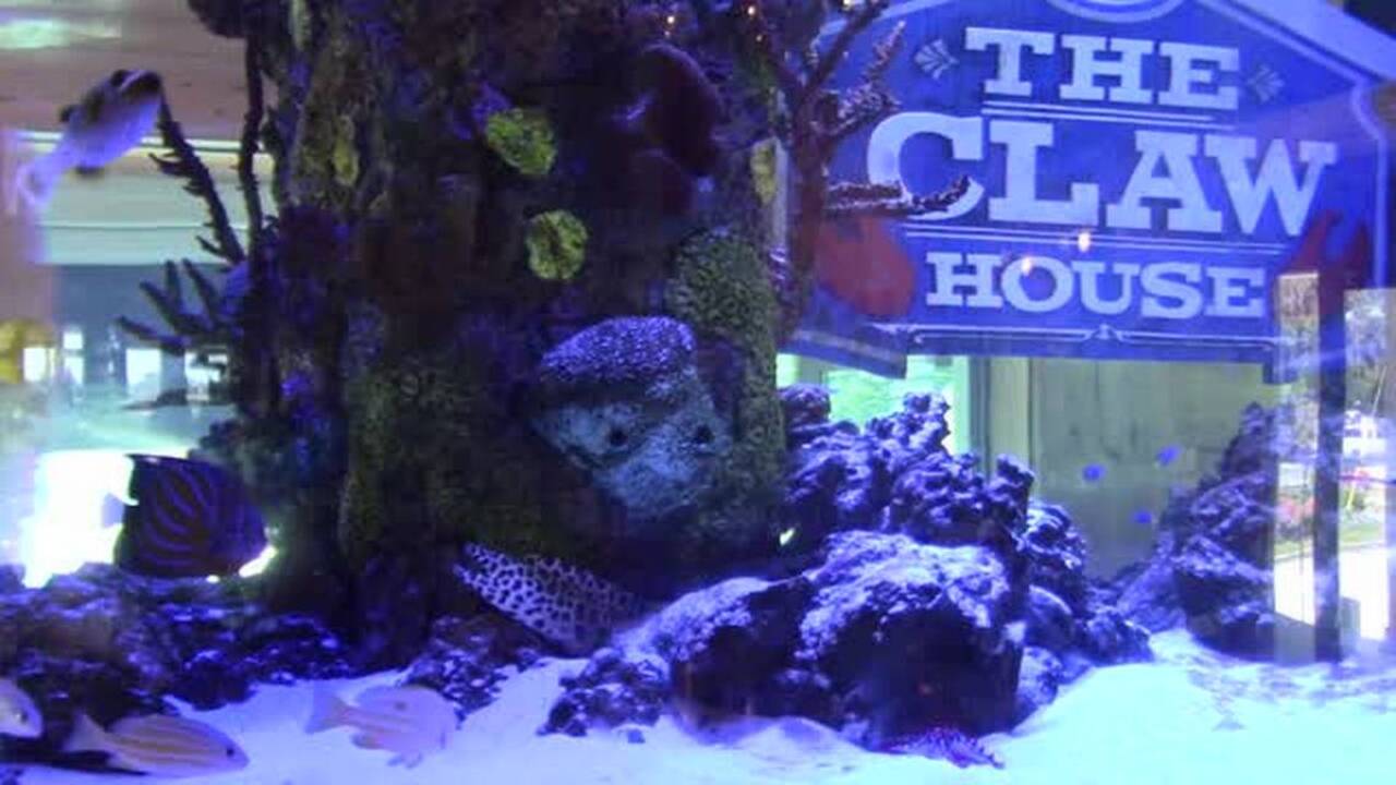 The Claw House, Murrells Inlet | Where the Locals Eat