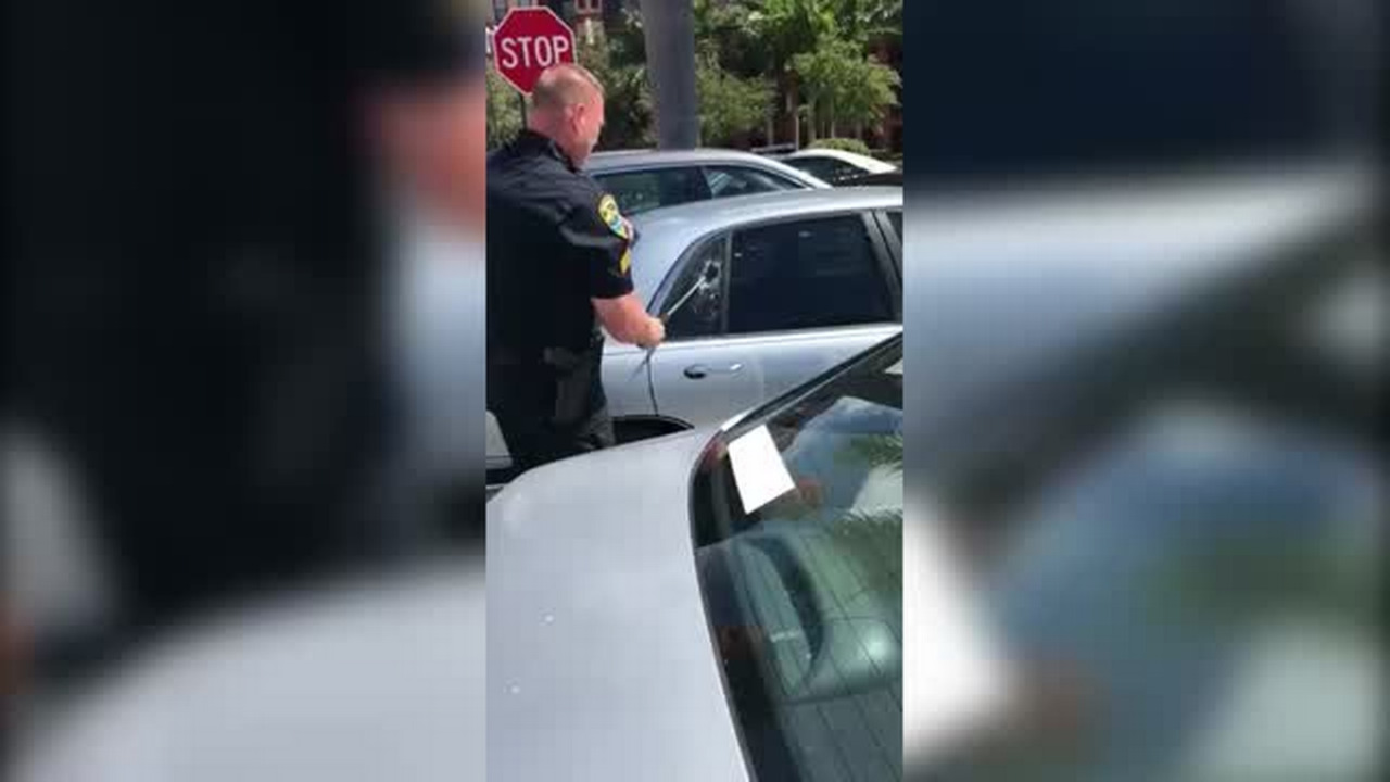 Police rescue dog left in hot car (Video) | Bradenton Herald