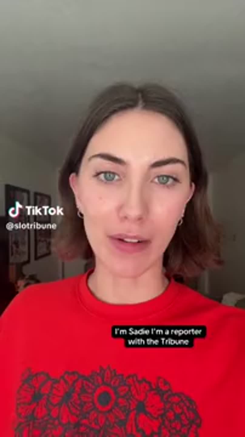 What happened in SLO County schools Nov. 1-8?