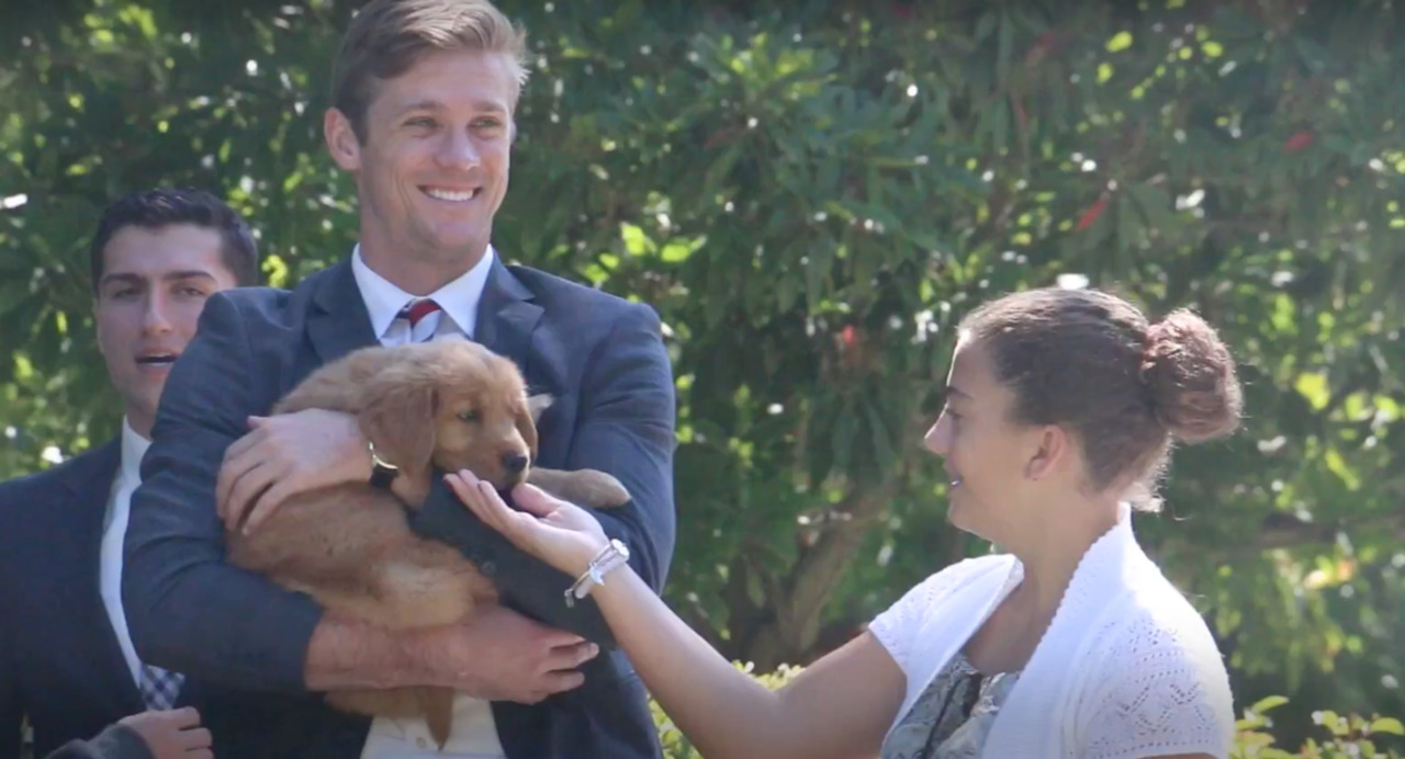 ​Lawmaker demonstrates how to rescue a hot dog