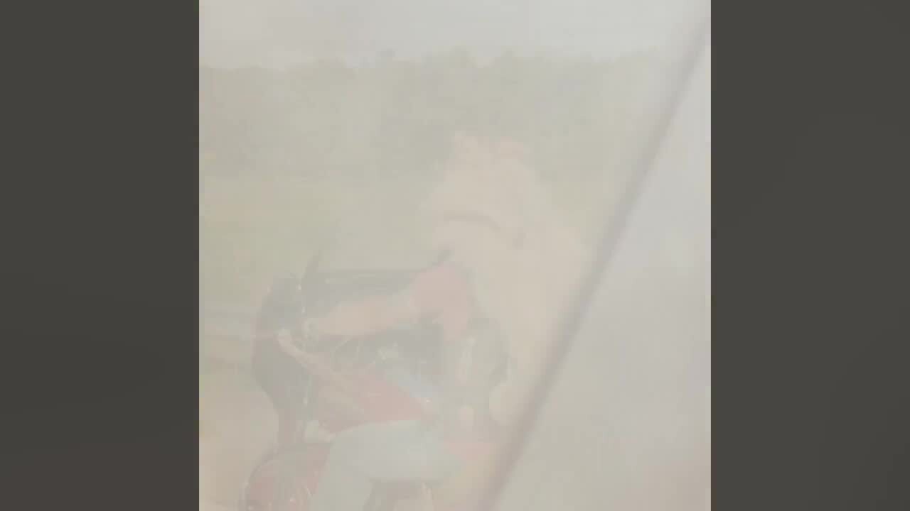 Biker ‘wearing a wolf’ on Florida interstate spotted by South Carolina lawmaker