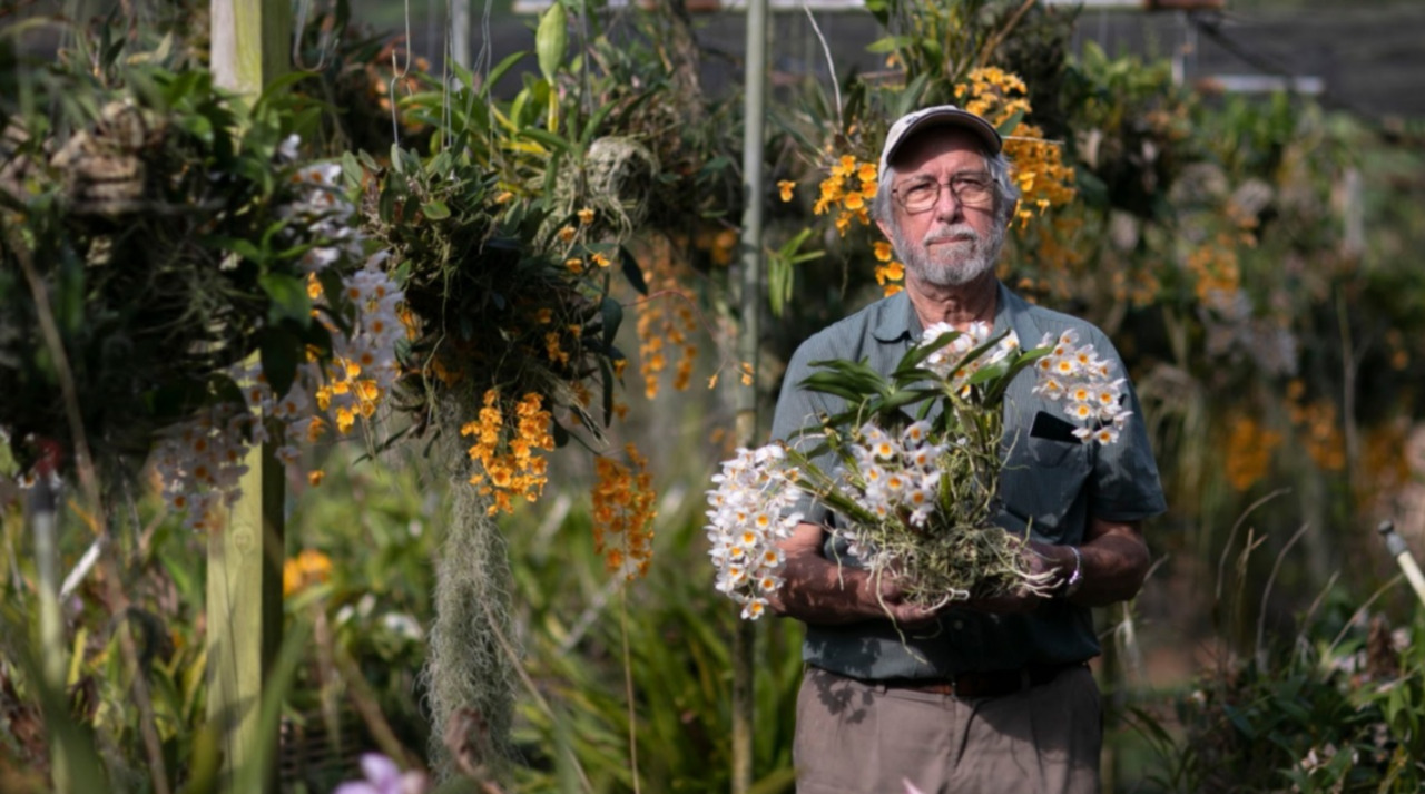 Las orquídeas están listas, pero el mercado no pasa por el mejor momento