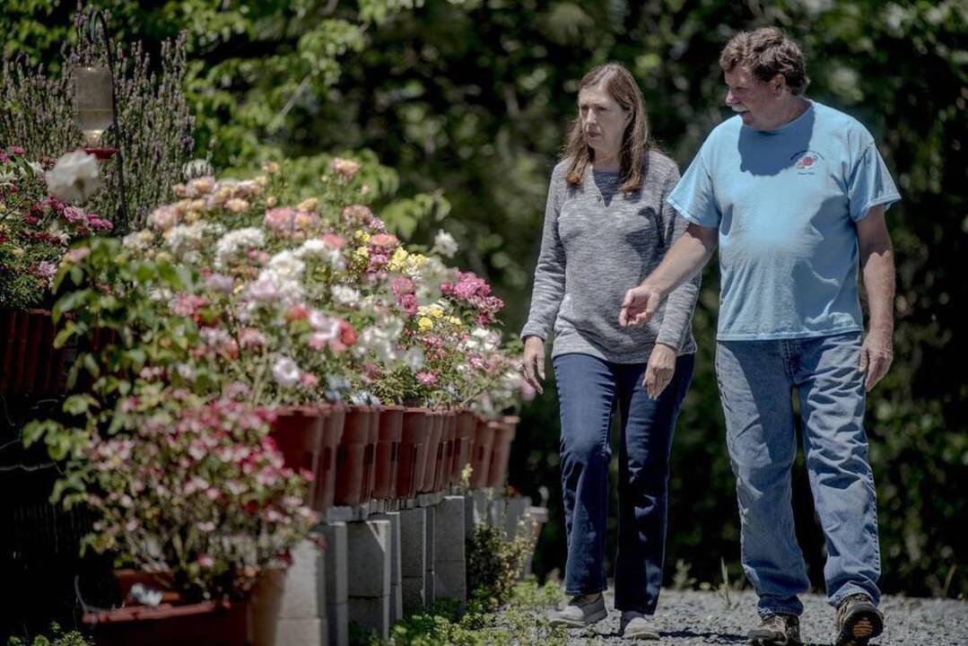 Meet Amador's rose ambassador to the world
