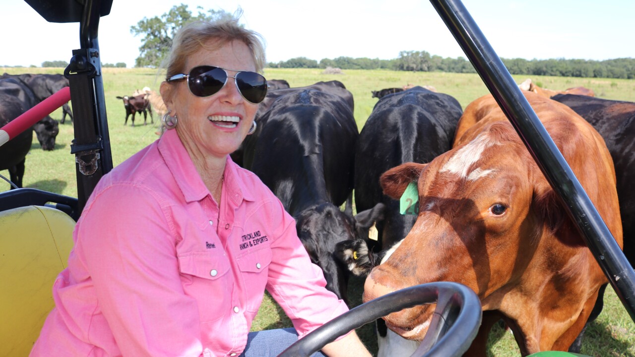 Here’s how you can celebrate partnerships between rural, urban communities in Manatee