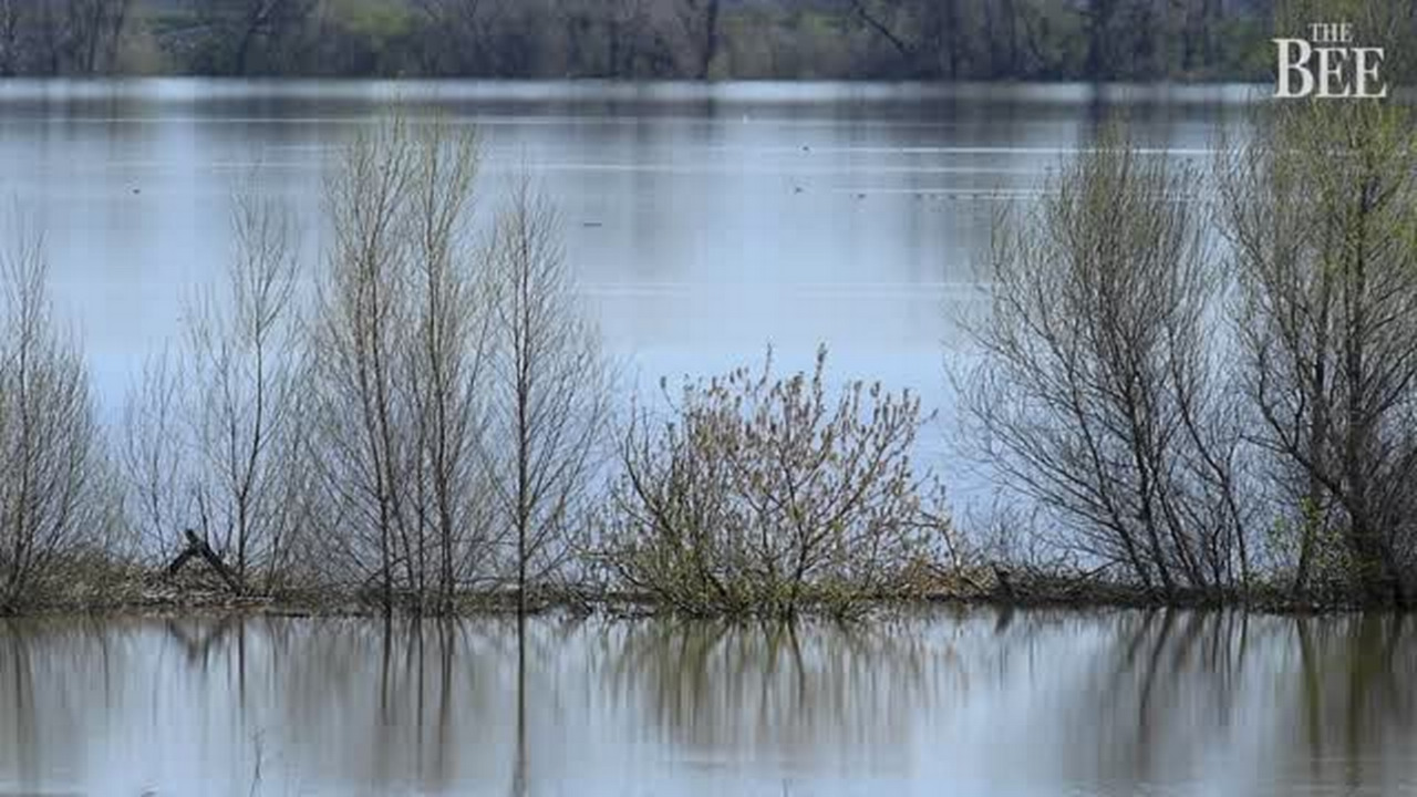 March storms brighten future of winter-run Chinook salmon