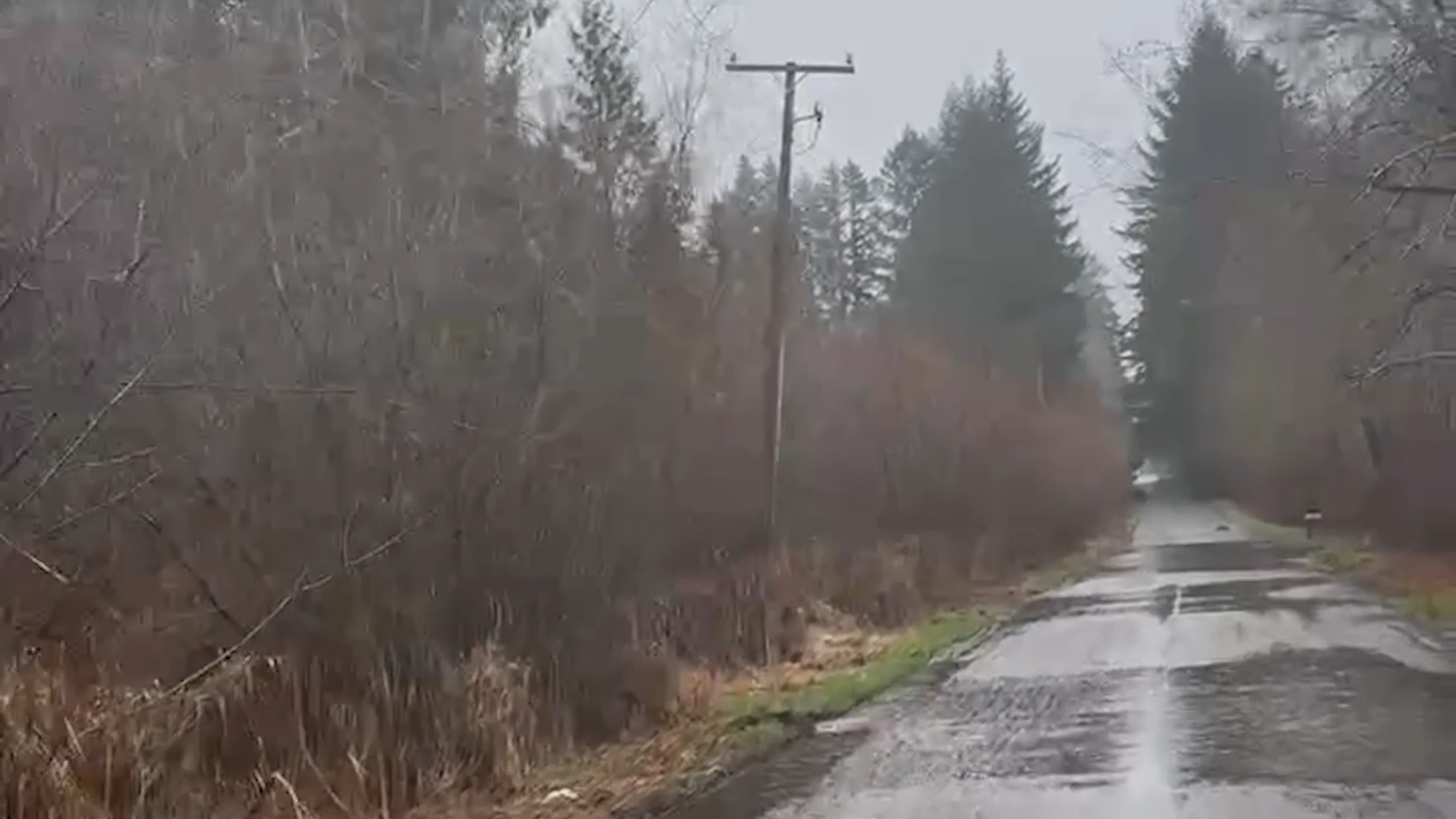 City of Olympia to address flooding on roadway nicknamed 'Lake 28'