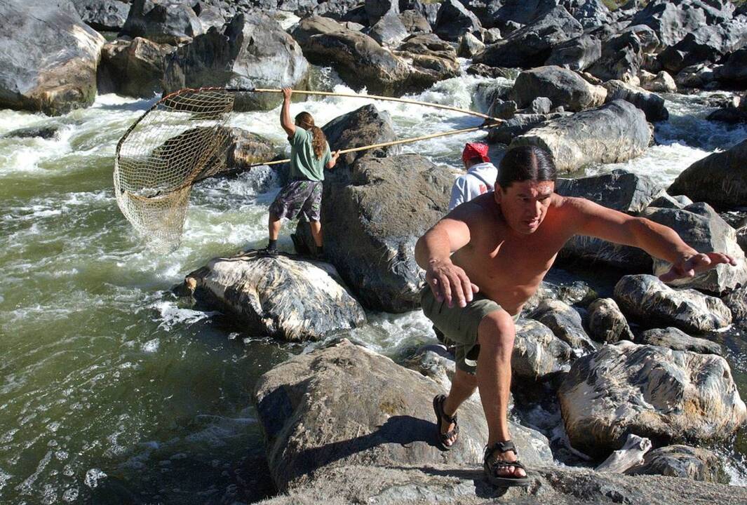 Shasta water release plan has no cutbacks to farmers – for now