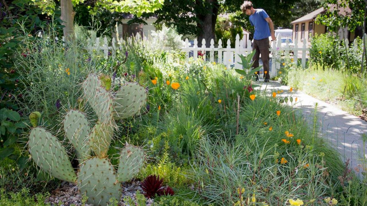 Voodoo lily and 200 other varieties grow in Boise Bench garden