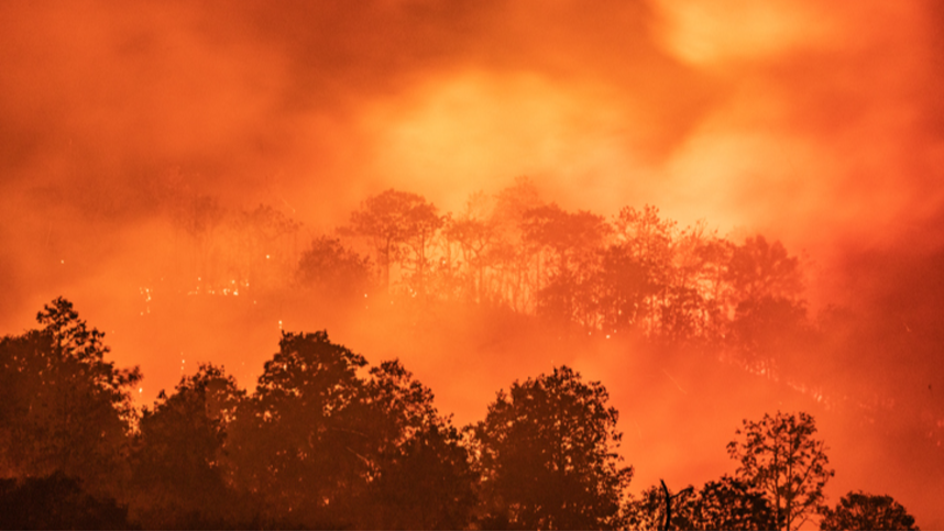 Skies glow orange due to wildfire smoke