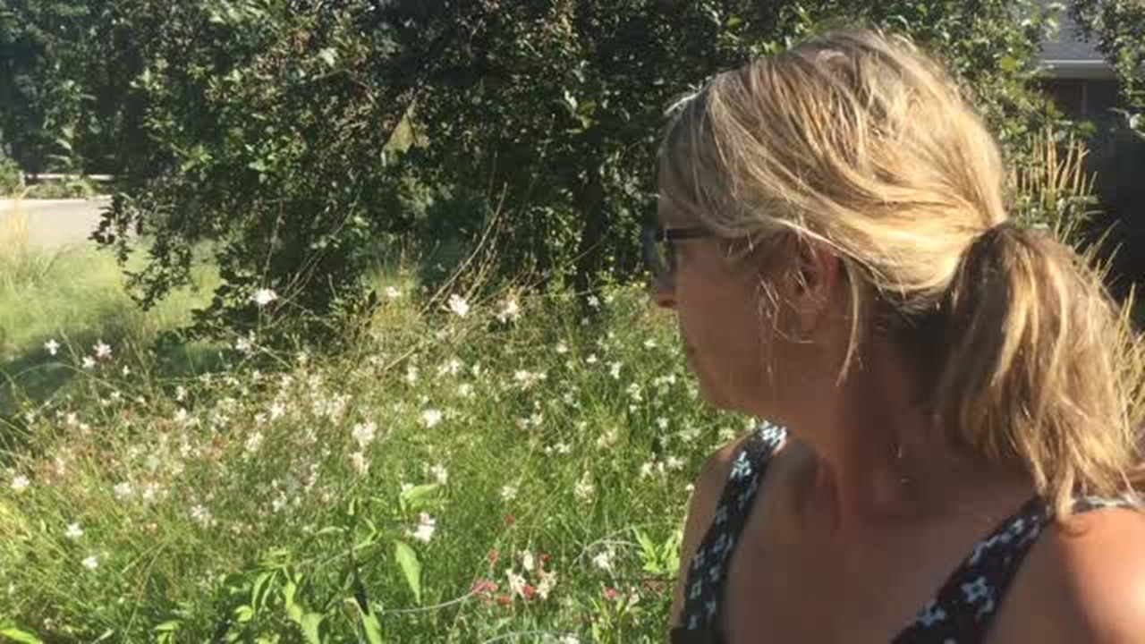 An untraditional garden in Boise's North End