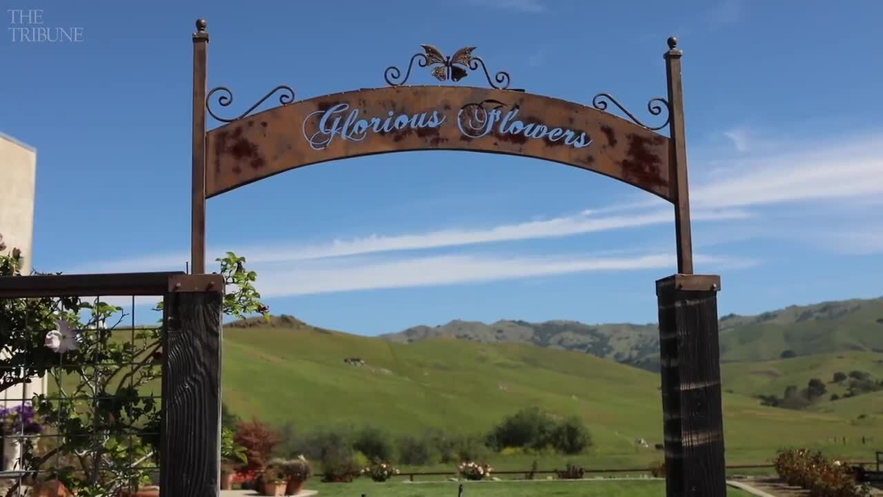 Check out the views for miles at this Cambria garden