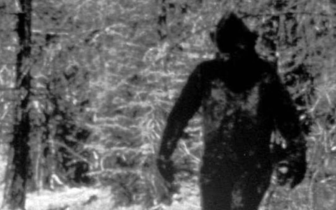 Lizard Man vs Bigfoot