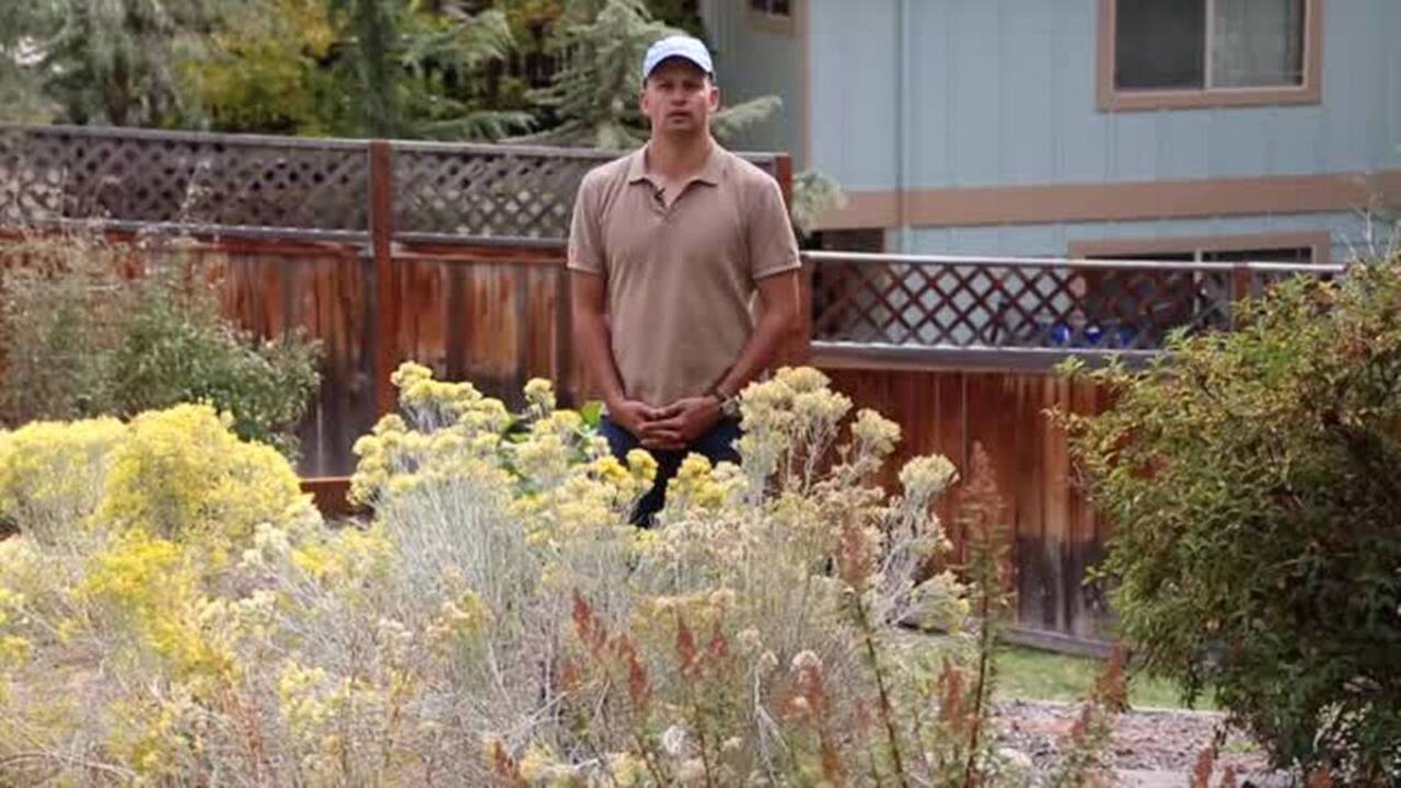 How to kill your lawn without chemicals