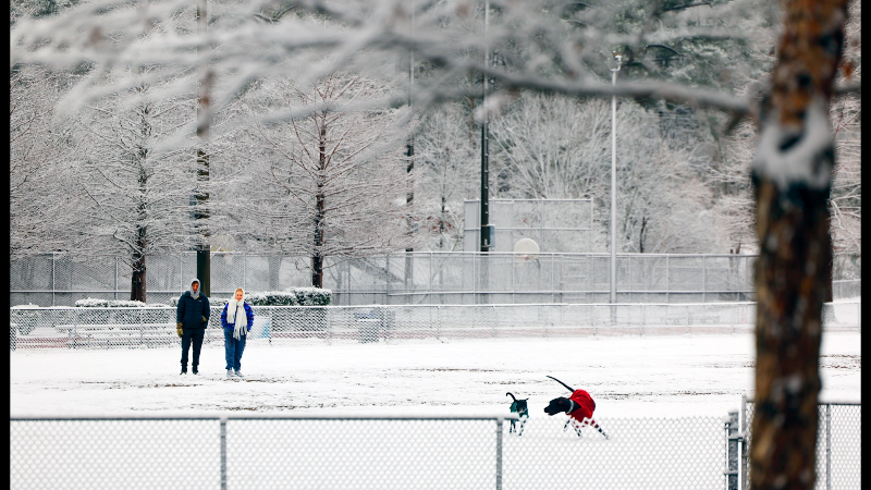 Photo Gallery: Snow transforms landscape of Columbus, GA
