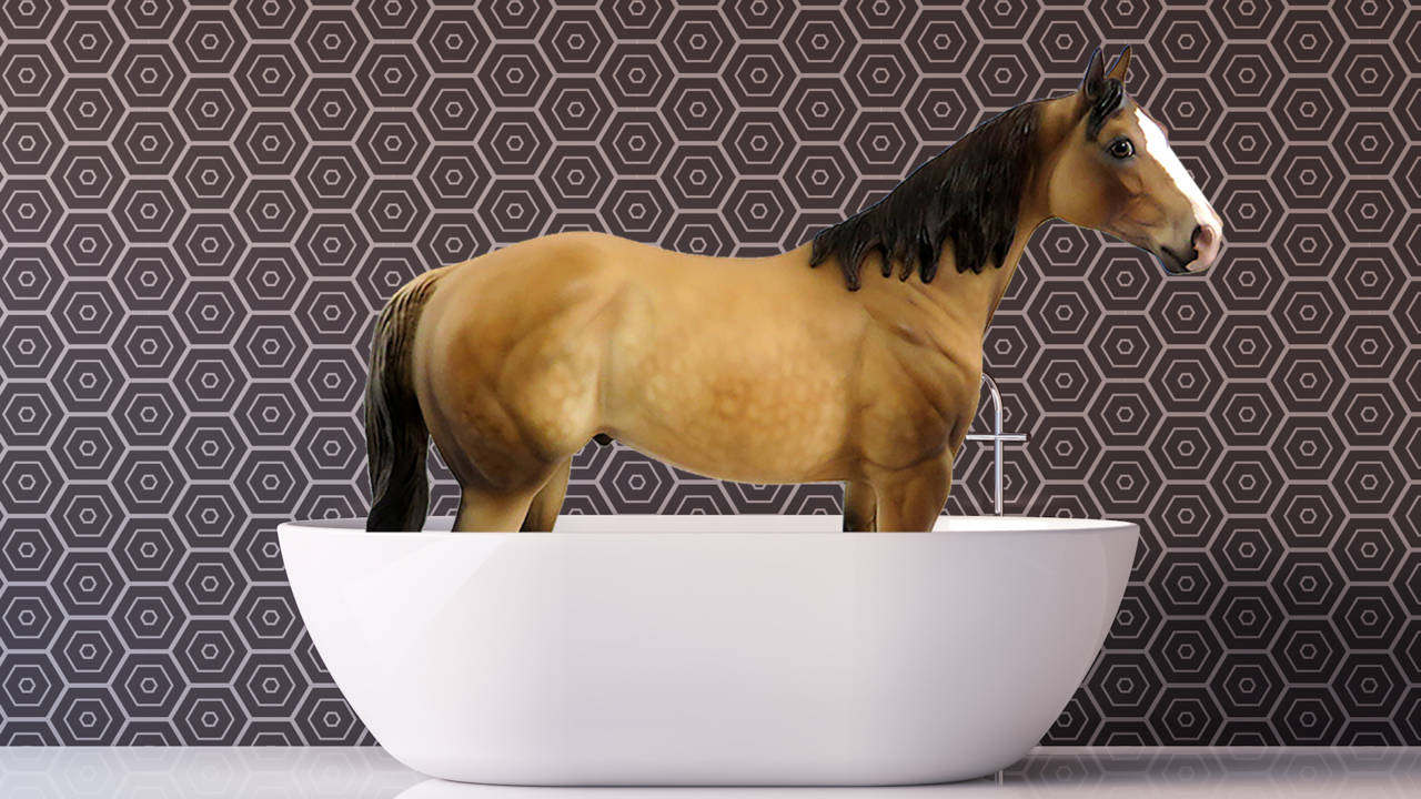 9 of the strangest SC laws still on the books — including one about horses in bathtubs