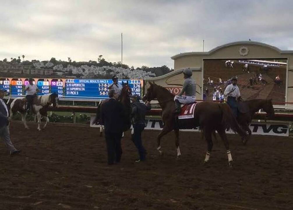 California Chrome keeps his fans happy at Del Mar