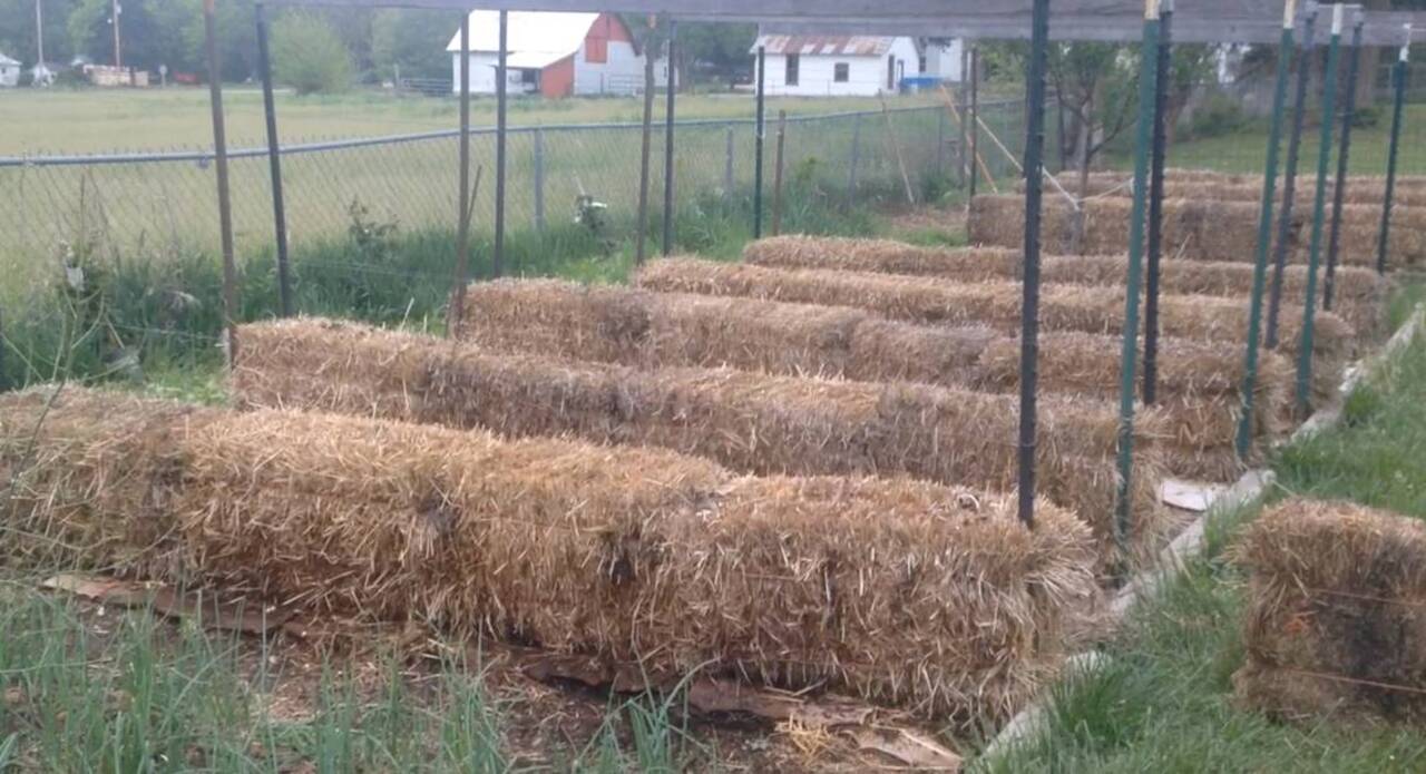 How to set up a straw bale garden