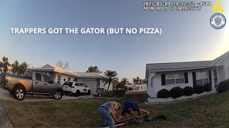 Bradenton police officer delivers pizza as 8-foot gator sits in driveway