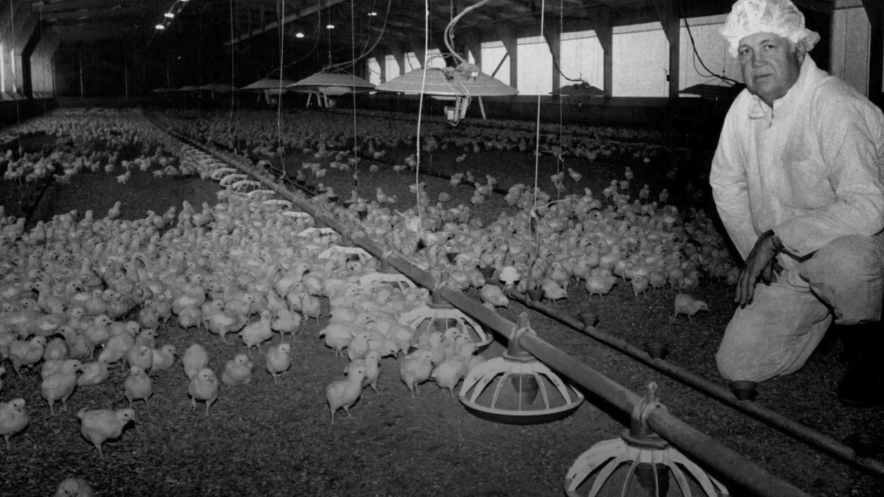 Huge layoffs loom at ‘struggling’ Fresno poultry processor