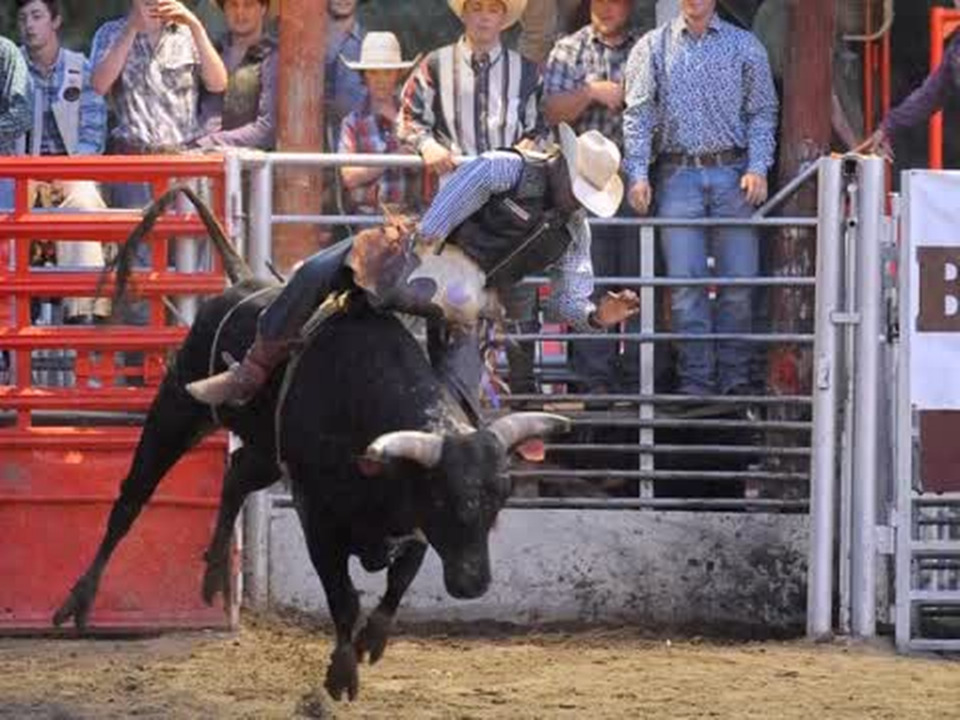 Local riders compete at Stegall's Arena
