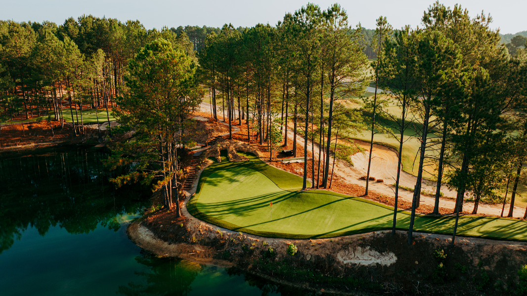 A tree in the middle of the green. Tobacco Road unveils short par-three golf course