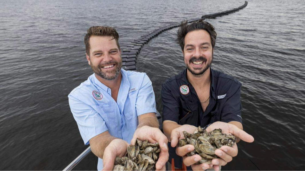 Everglades farm hopes to revive Florida’s oyster industry