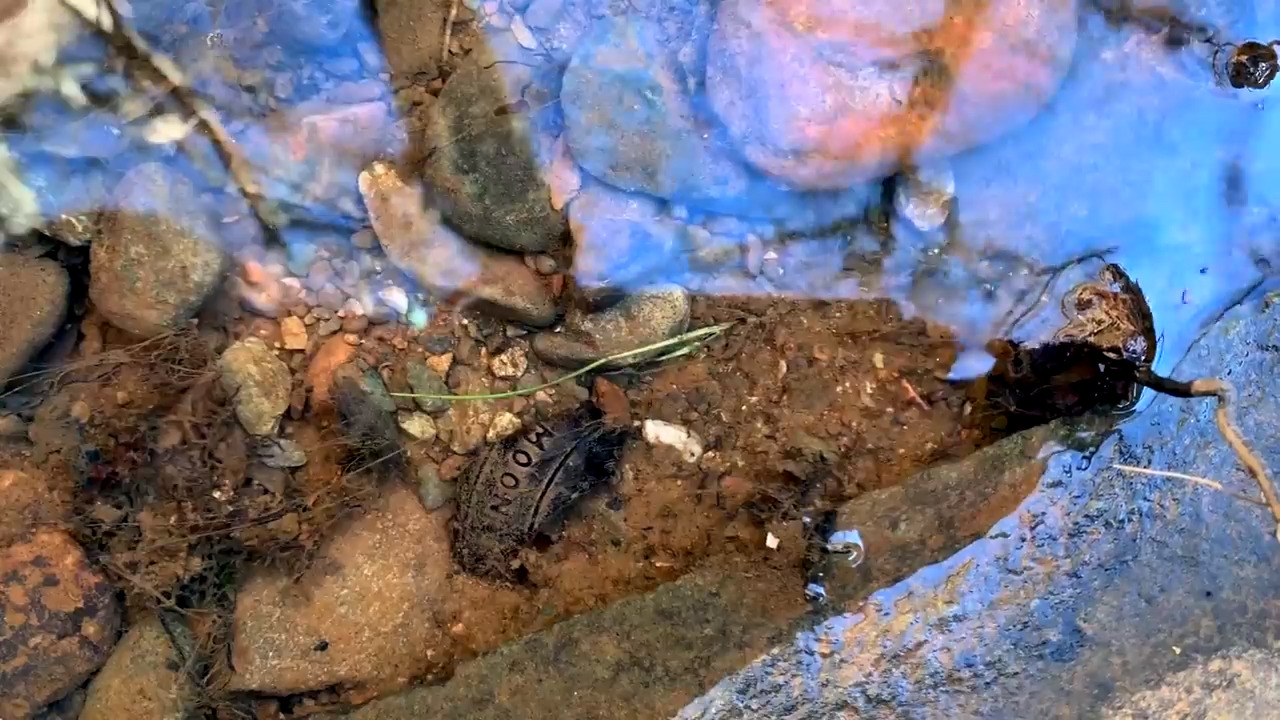 Hear the relaxing sounds of Hidden Falls Regional Park