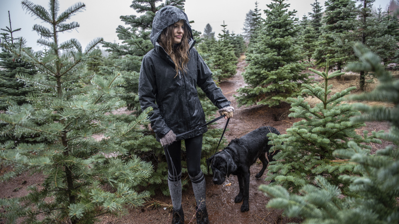 In search of the perfect Christmas tree: A family tradition