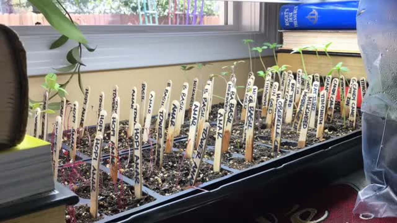 More free gardening classes in the Treasure Valley: plants that attract butterflies