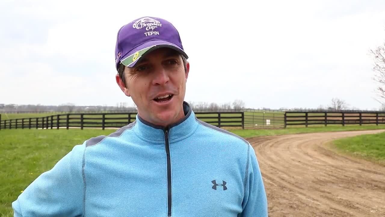 Derby winner's colt rejected by birth mother, only to be adopted by mare who lost her baby days before