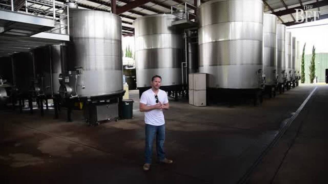 Winemaker lauds ‘pinch-yourself profession’ while leading Renwood tour