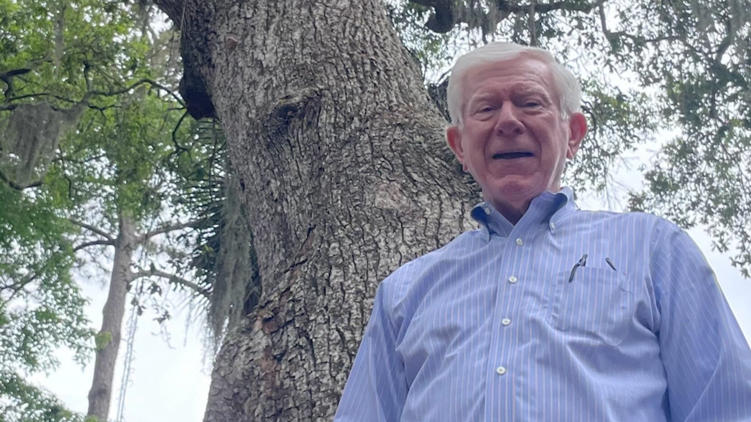 Hilton Head man has "specimen" live oaks around his home. He wants to remove one