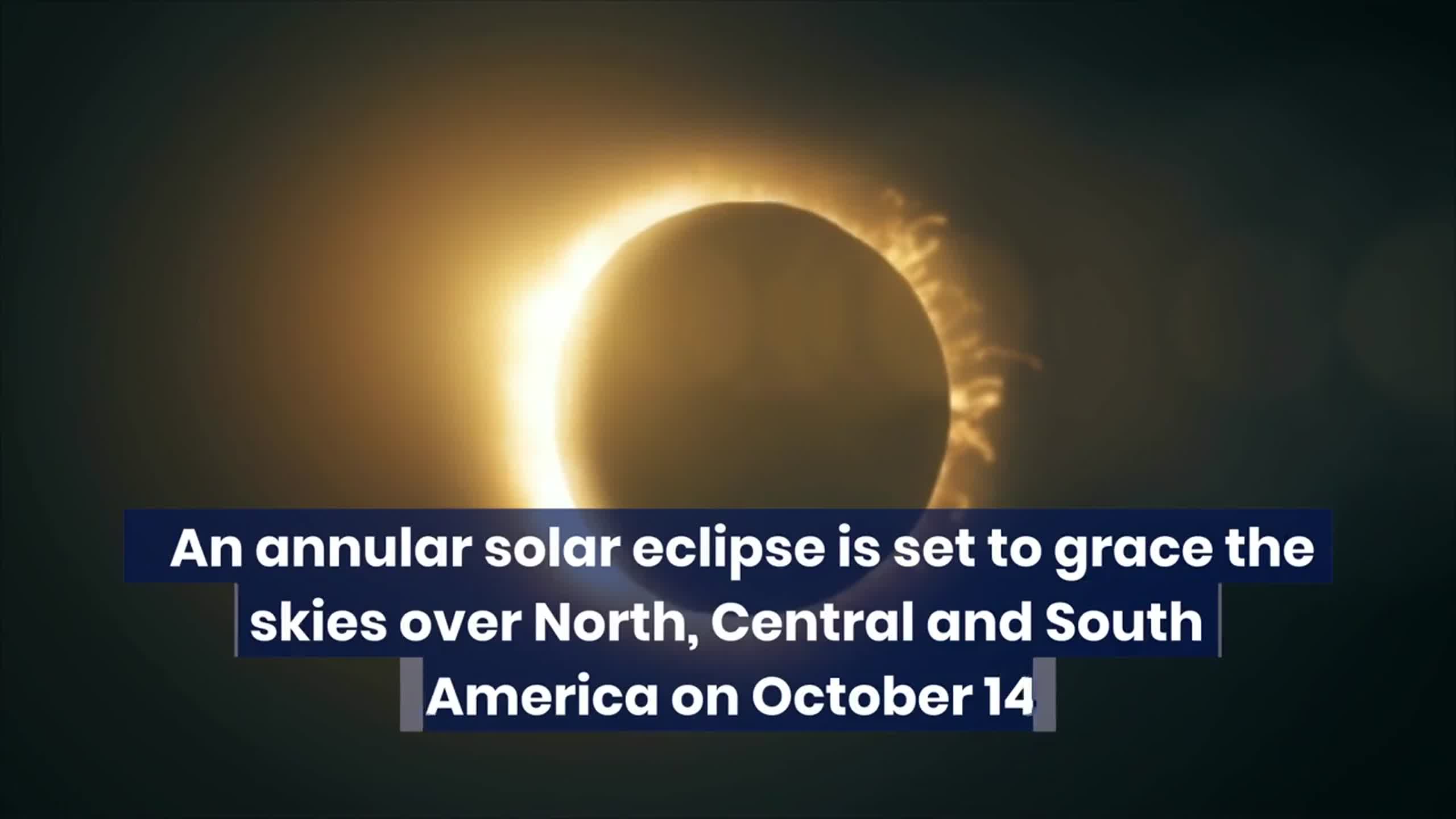 Want to watch the solar eclipse over WA this weekend? Here’s when, how to do it safely