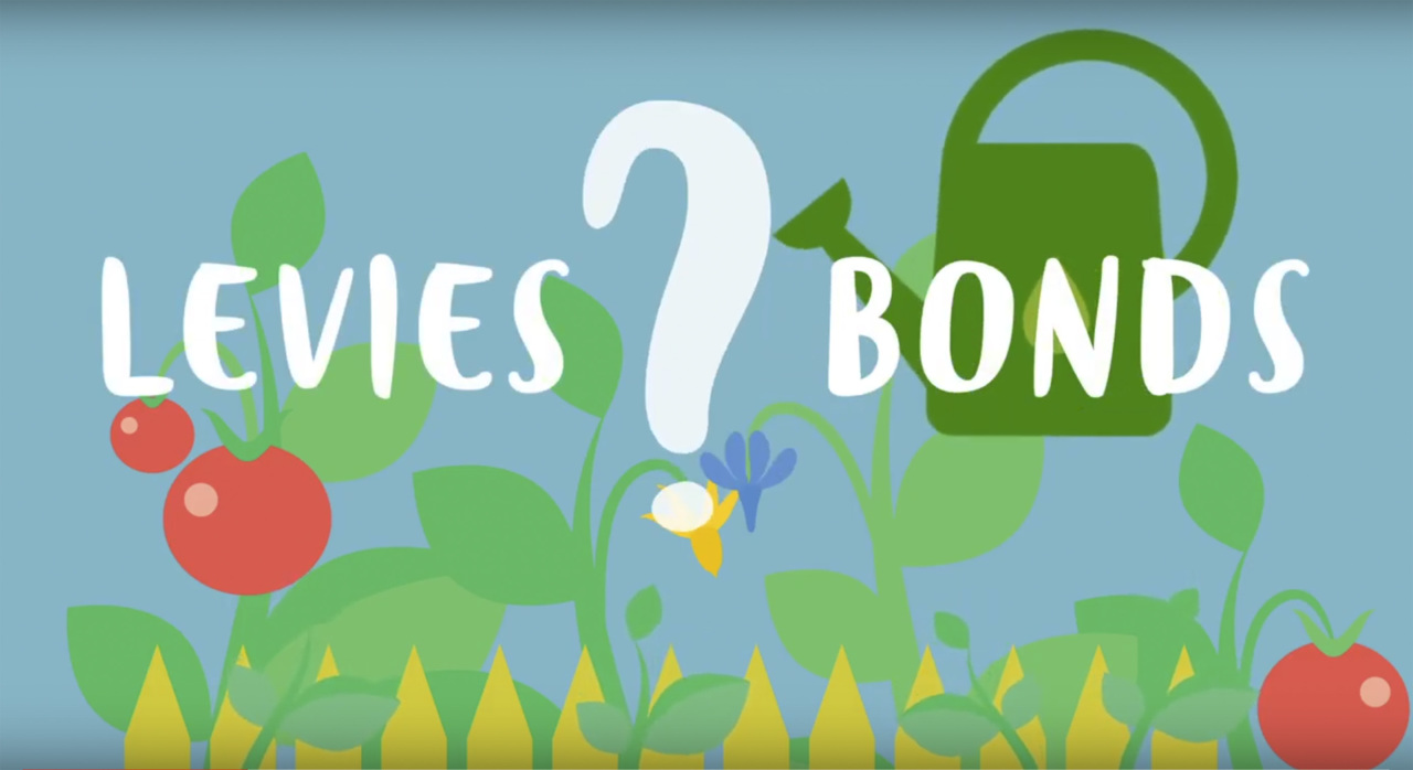 What’s the Difference Between a Levy and a Bond?